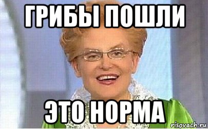 грибы пошли это норма