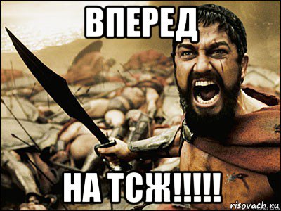 вперед на тсж!!!!!, Мем Это Спарта