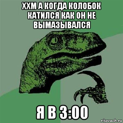 ххм а когда колобок катился как он не вымазывался я в 3:00, Мем Филосораптор