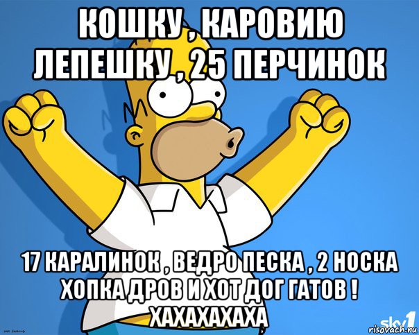 кошку , каровию лепешку , 25 перчинок 17 каралинок , ведро песка , 2 носка хопка дров и хот дог гатов ! хахахахаха, Мем    Гомер