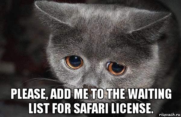  please, add me to the waiting list for safari license., Мем  Грустный кот