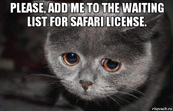 please, add me to the waiting list for safari license. , Мем  Грустный кот