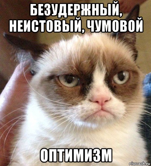 безудержный, неистовый, чумовой оптимизм, Мем Грустный (сварливый) кот
