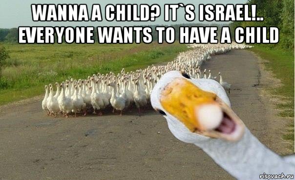 wanna a child? it`s israel!.. everyone wants to have a child , Мем гуси
