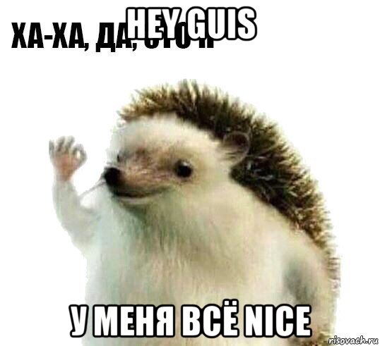 hey guis у меня всё nice, Мем Ха-ха да это я