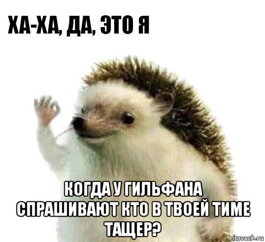  когда у гильфана спрашивают кто в твоей тиме тащер?, Мем Ха-ха да это я