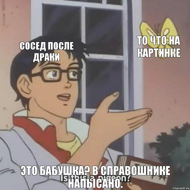 Сосед после драки То что на картинке Это бабушка? В справошнике напысано., Комикс  Is this