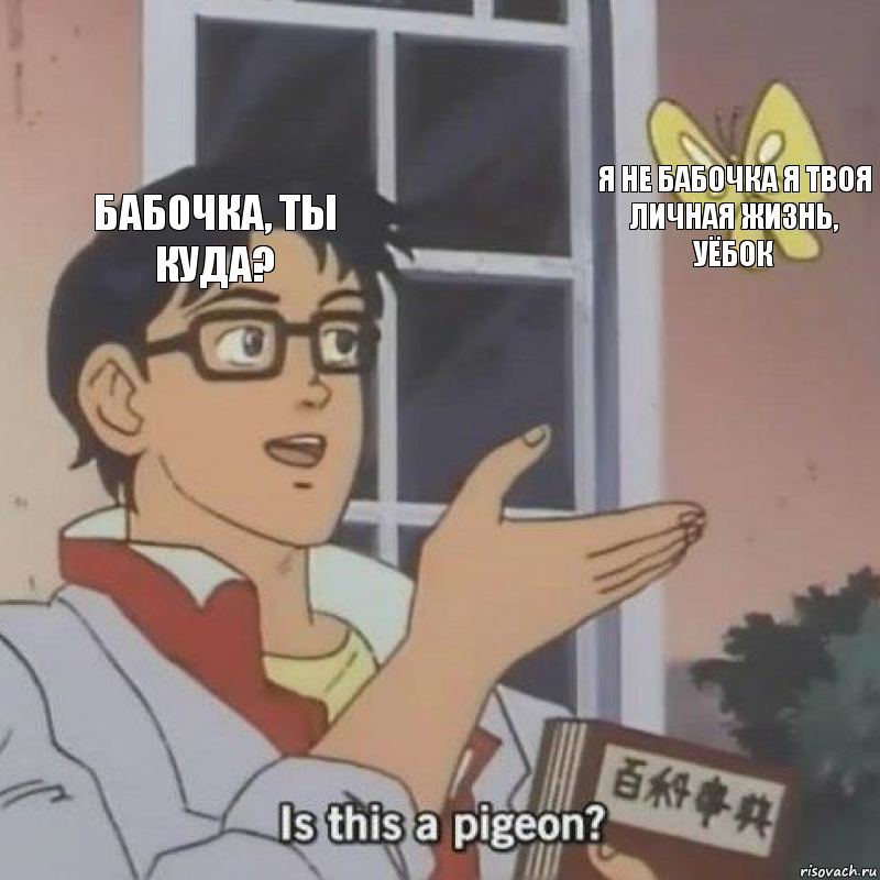 бабочка, ты куда? я не бабочка я твоя личная жизнь, уёбок , Комикс  Is this