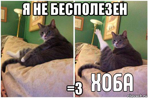 я не бесполезен =3, Комикс Кот Хоба