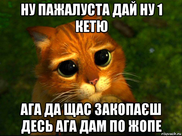 ну пажалуста дай ну 1 кетю ага да щас закопаєш десь ага дам по жопе, Мем кот из шрека