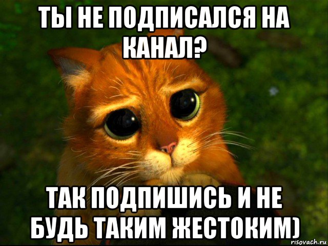 ты не подписался на канал? так подпишись и не будь таким жестоким), Мем кот из шрека