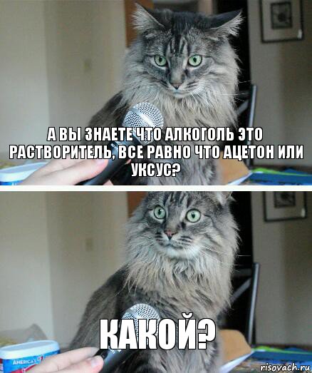 А вы знаете что алкоголь это растворитель, все равно что ацетон или уксус? какой?, Комикс  кот с микрофоном