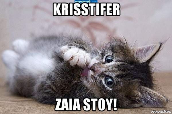 krisstifer zaia stoy!