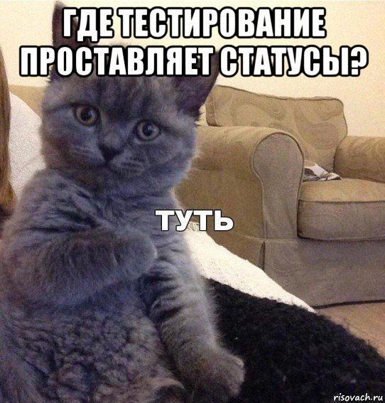 где тестирование проставляет статусы? , Мем Котик - Туть