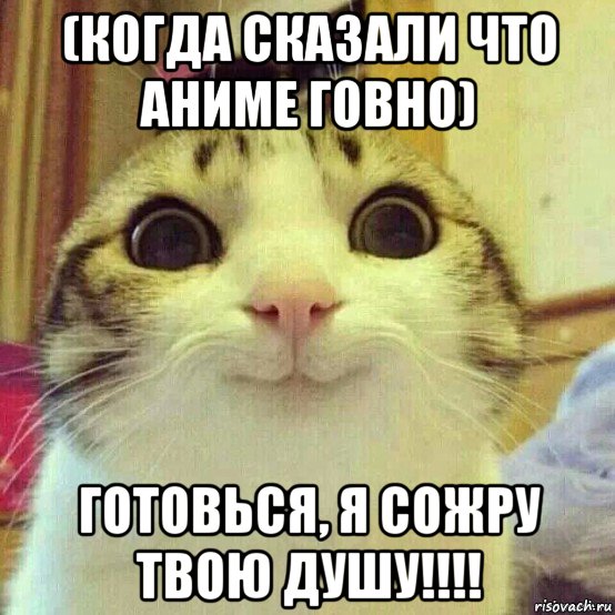 (когда сказали что аниме говно) готовься, я сожру твою душу!!!!, Мем       Котяка-улыбака