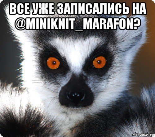 все уже записались на @miniknit_marafon? 