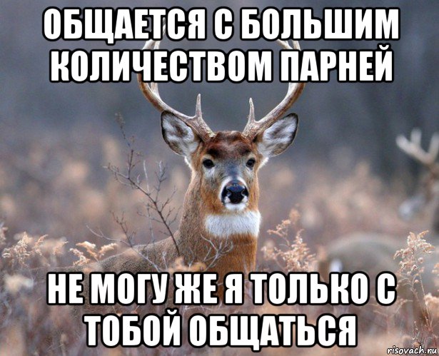 общается с большим количеством парней не могу же я только с тобой общаться, Мем   Наивный олень