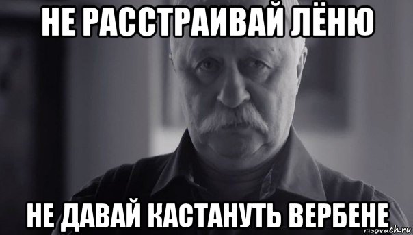 не расстраивай лёню не давай кастануть вербене, Мем Не огорчай Леонида Аркадьевича