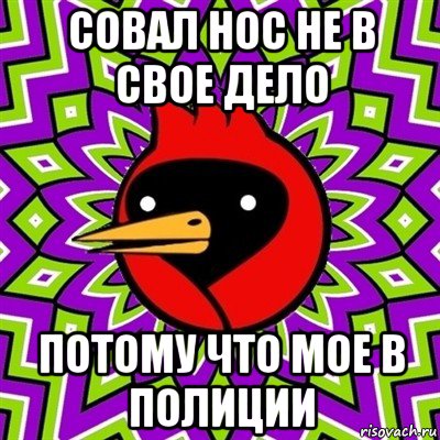 совал нос не в свое дело потому что мое в полиции, Мем Омская птица