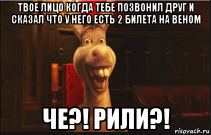 твое лицо когда тебе позвонил друг и сказал что у него есть 2 билета на веном че?! рили?!, Мем Осел из Шрека