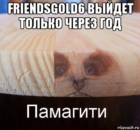 friendsgold6 выйдет только через год , Мем   Памагити