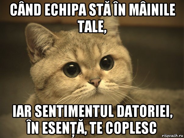 când echipa stă în mâinile tale, iar sentimentul datoriei, în esenţă, te coplesc, Мем Пидрила ебаная котик