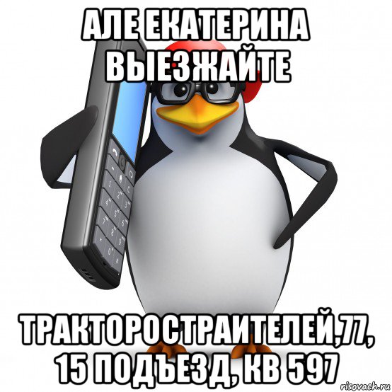 але екатерина выезжайте тракторостраителей,77, 15 подъезд, кв 597, Мем   Пингвин звонит