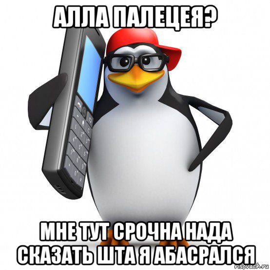 алла палецея? мне тут срочна нада сказать шта я абасрался, Мем   Пингвин звонит