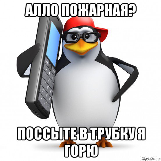 алло пожарная? поссыте в трубку я горю, Мем   Пингвин звонит