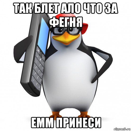 так блет ало что за фегня емм принеси, Мем   Пингвин звонит