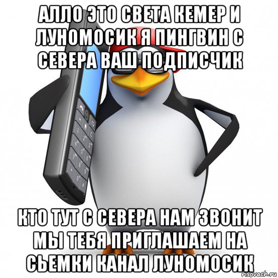 алло это света кемер и луномосик я пингвин с севера ваш подписчик кто тут с севера нам звонит мы тебя приглашаем на сьемки канал луномосик, Мем   Пингвин звонит