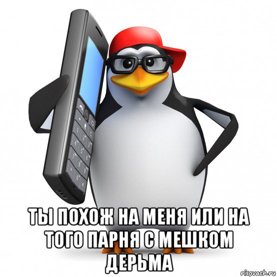  ты похож на меня или на того парня с мешком дерьма, Мем   Пингвин звонит