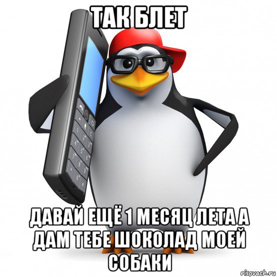 так блет давай ещё 1 месяц лета а дам тебе шоколад моей собаки, Мем   Пингвин звонит