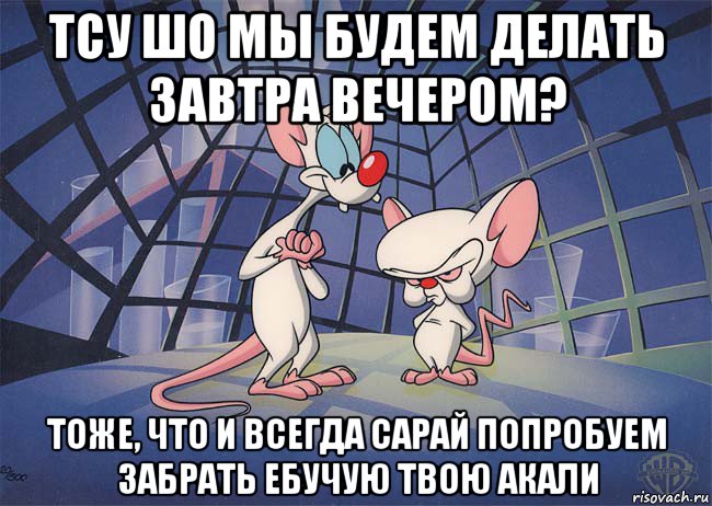 тсу шо мы будем делать завтра вечером? тоже, что и всегда сарай попробуем забрать ебучую твою акали