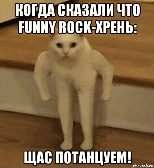 когда сказали что funny rock-хрень: щас потанцуем!, Мем  Полукот