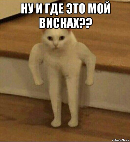 ну и где это мой висках?? , Мем  Полукот