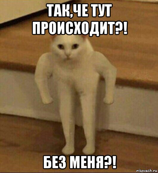 так,че тут происходит?! без меня?!, Мем  Полукот