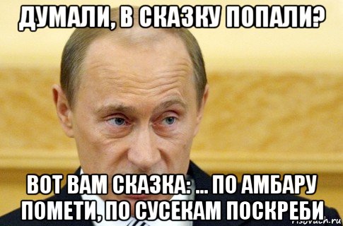 думали, в сказку попали? вот вам сказка: ... по амбару помети, по сусекам поскреби, Мем путин