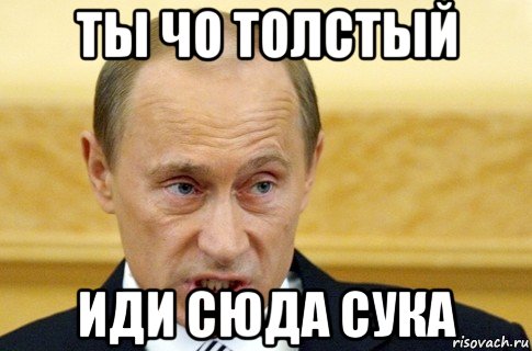 ты чо толстый иди сюда сука, Мем путин