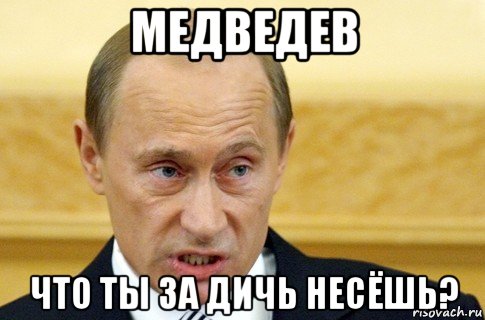 медведев что ты за дичь несёшь?, Мем путин