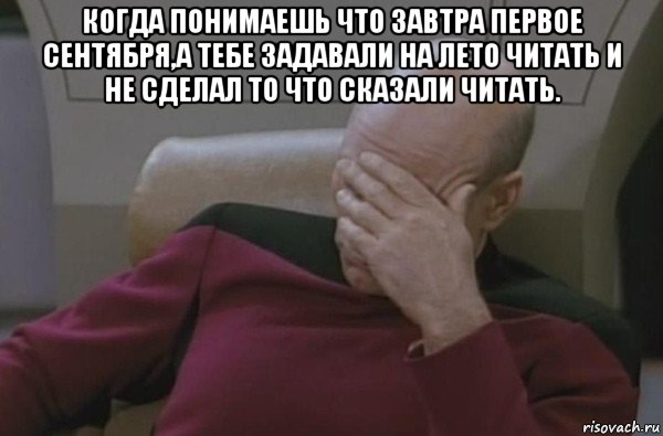 когда понимаешь что завтра первое сентября,а тебе задавали на лето читать и не сделал то что сказали читать. , Мем  Рукалицо