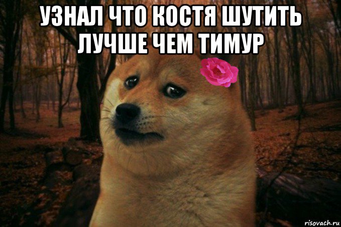 узнал что костя шутить лучше чем тимур , Мем  SAD DOGE GIRL