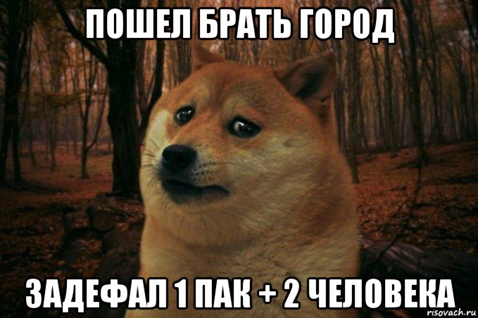 пошел брать город задефал 1 пак + 2 человека, Мем SAD DOGE