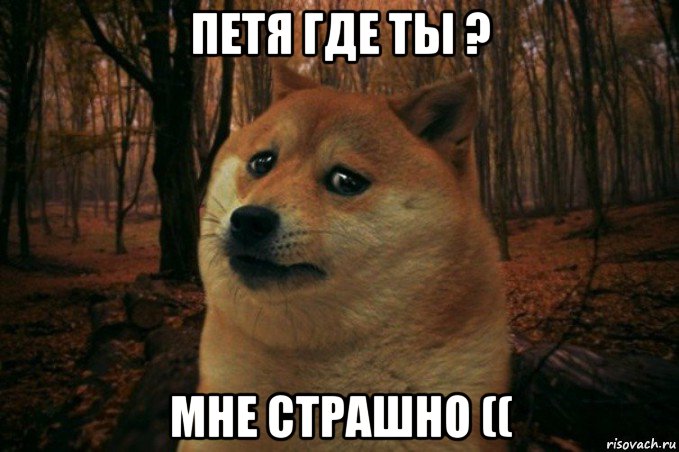 петя где ты ? мне страшно ((