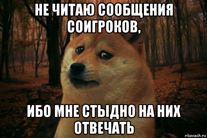 не читаю сообщения соигроков, ибо мне стыдно на них отвечать, Мем SAD DOGE