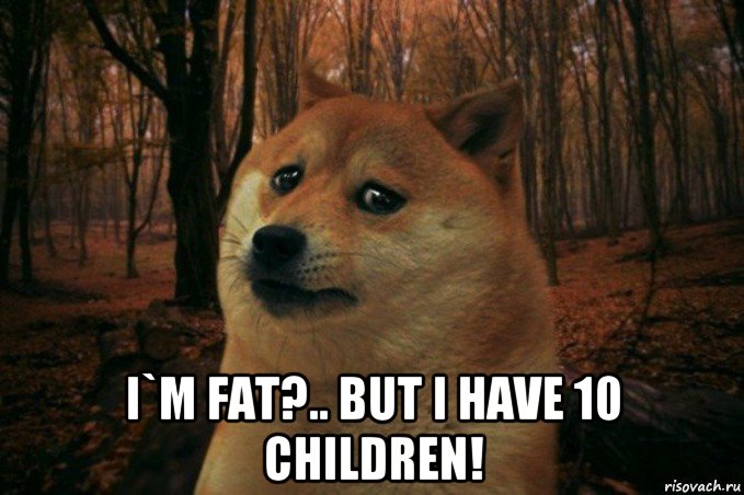  i`m fat?.. but i have 10 children!, Мем SAD DOGE