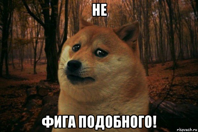 не фига подобного!, Мем SAD DOGE