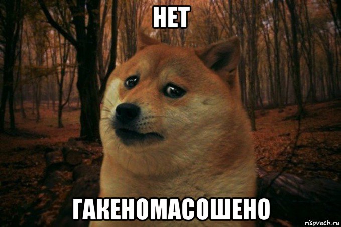 нет гакеномасошено, Мем SAD DOGE