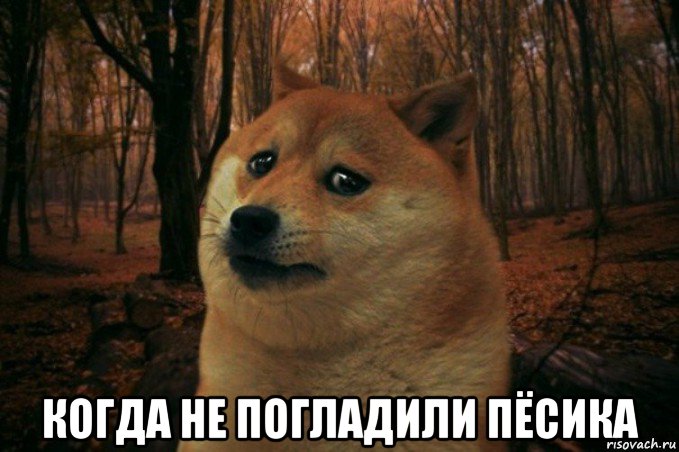  когда не погладили пёсика, Мем SAD DOGE