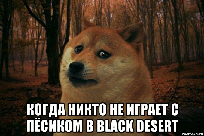  когда никто не играет с пёсиком в black desert, Мем SAD DOGE